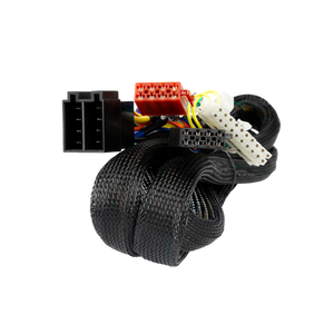 MATCH PP-ISO 2 – Harness – 2.2 meter