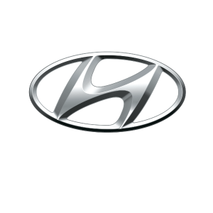 Hyundai Navi Premium