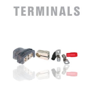 Terminals